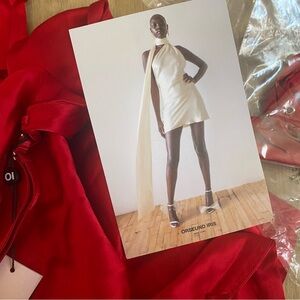 RARE Orseund Iris Hollywood Red Mini Dress with One Shoulder Neck Scarf Low Back